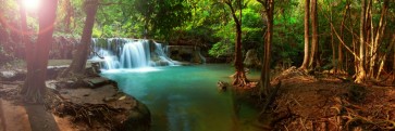 Renée Pehr - Forest Waterfall II