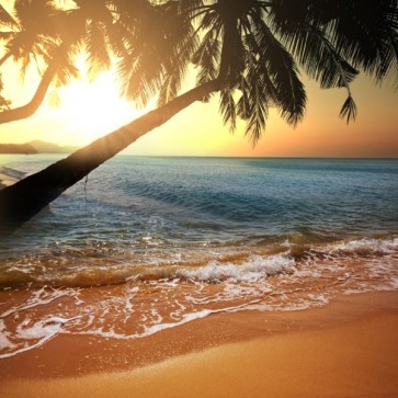Beach - Coastal Sunset
