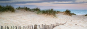 Luis Bond - Path to the Beach - Dune