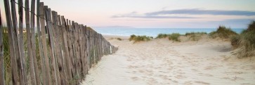 Joseph Sohm - Beach Path - Raw