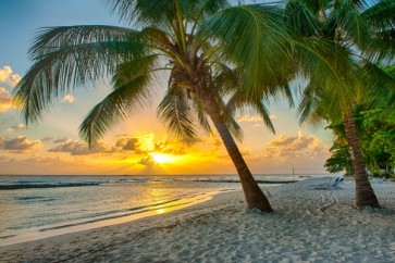 Beach Sunset