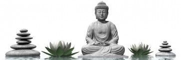 Darija Mile - Buddha in Meditation With White Lotus and Stones