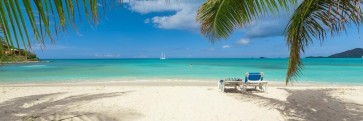 Dolores Flowers - Resting Chairs at the Tropical Beach
