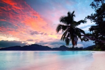 Ann Gavril - Tropical Beach Dawn In Thailand