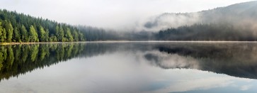 Delal Lambert -Banff National Park