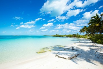 Beach - Turquoise Paradise