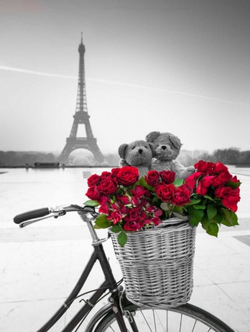 Assaf Frank - Teddy Bears and bunch of red roses on bicycle with Eiffel tower in the background