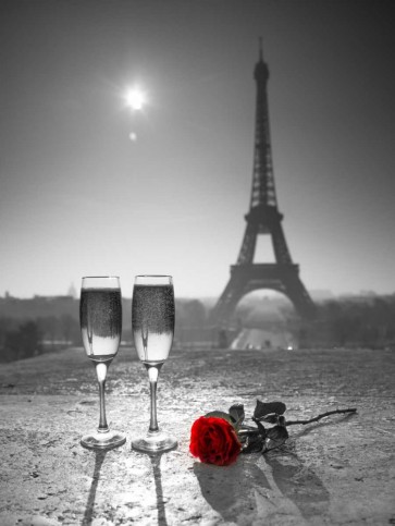 Assaf Frank - Champagne glasses with red rose next to the Eiffel tower
