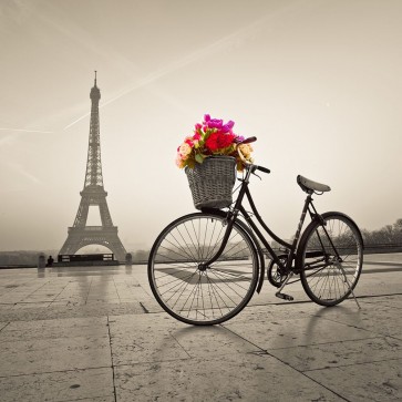 Assaf Frank - Bicycle with a basket of flowers next to the Eiffel tower