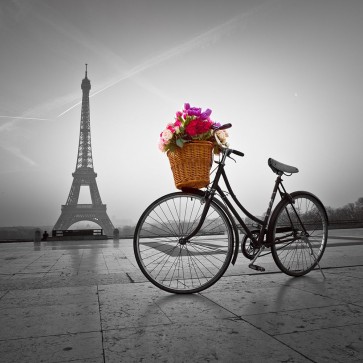Assaf Frank - Bicycle with a basket of flowers next to the Eiffel tower