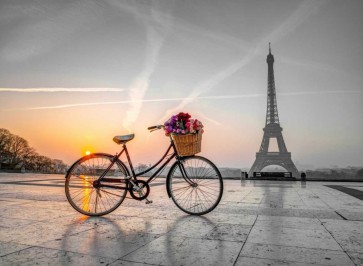 Assaf Frank - Bicycle with a basket of flowers next to the Eiffel tower, Paris, France
