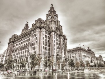 Assaf Frank - Royal Liver Building, Liverpool, FTBR-1866