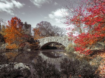 Assaf Frank - Gapstow bridge in the Autumn, Central park, New York