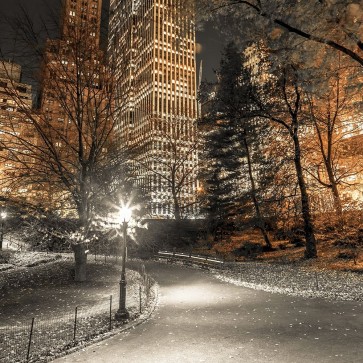 Assaf Frank - Evening view of Central Park in New York City