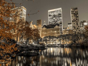 Assaf Frank - Evening view of Central Park in New York City