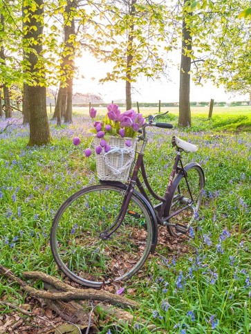 Assaf Frank - Bicycle in spring forest with bunch of flowers