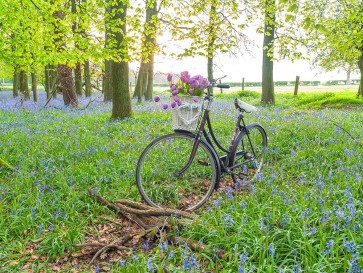 Assaf Frank - Bicycle in spring forest with bunch of flowers