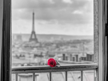 Assaf Frank - Rose on balcony railing with Eiffel Tower in background, Paris, France