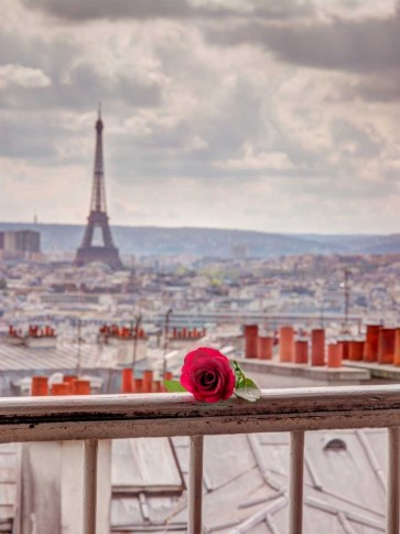 Assaf Frank - Rose on balcony railing with Eiffel Tower in background, Paris, France