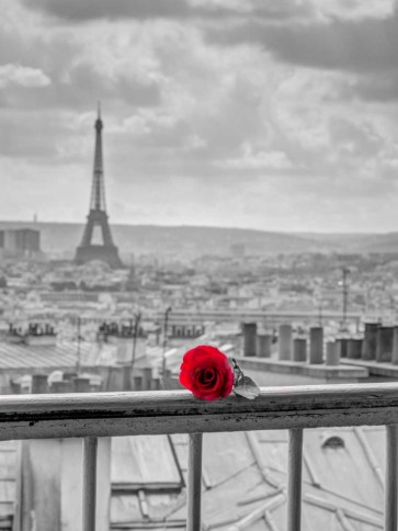 Assaf Frank - Rose on balcony railing with Eiffel Tower in background, Paris, France