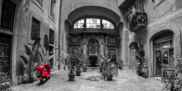Assaf Frank - Old Fashioned house with potted plants and scooter, Rome, Italy