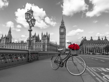Assaf Frank - Bicycle with bunch of flowers on Westminster Bridge, London, UK