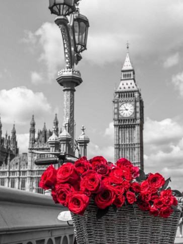Assaf Frank - Bicycle with bunch of flowers on Westminster Bridge, London, UK