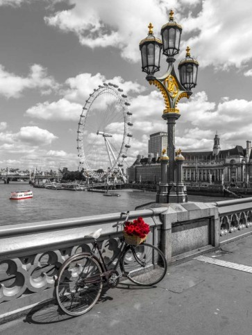 Assaf Frank - Bicycle with bunch of flowers on Westminster Bridge, London, UK