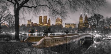 Assaf Frank - Central park with Manhattan skyline, New York