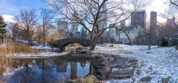 Assaf Frank - Central park with Lower Manhattan skyline, New York