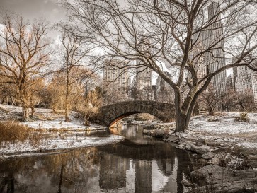 Assaf Frank - Central park in New York