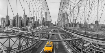 Assaf Frank - Brooklyn bridge, New York