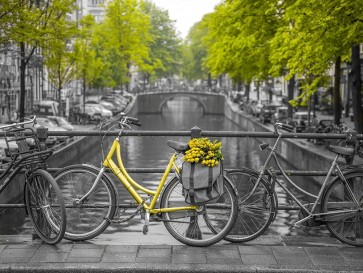 Assaf Frank - Bicycle with bunch of flowers by the canal, Amsterdam