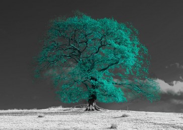 Assaf Frank - Tree on a hill-teal
