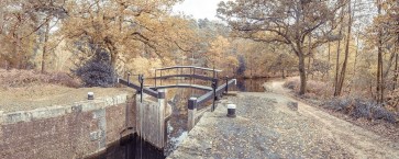 Assaf Frank - Canal lock