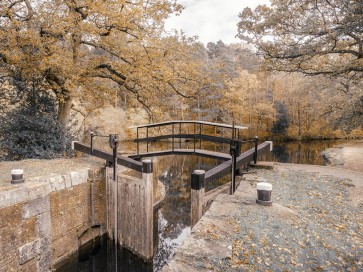 Assaf Frank - Canal lock