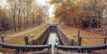 Assaf Frank - Canal through forest