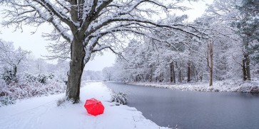 Assaf Frank - Snow covered trees by a canal