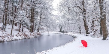 Assaf Frank - Umbrella by a snowy canal