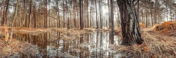 Assaf Frank - Canal through forest