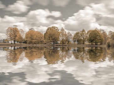 Assaf Frank - Trees along the lake
