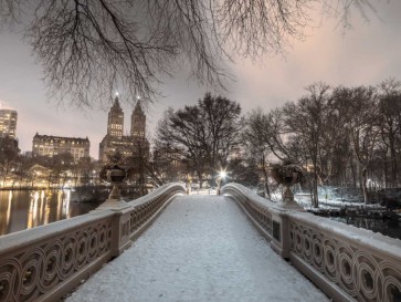 Assaf Frank - Central park Bow Bridge with Manhattan skyline, New York, AF20160117-746