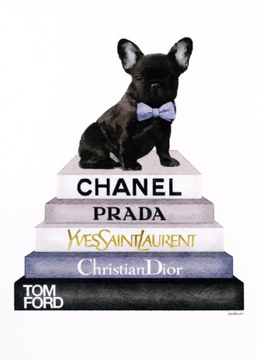 Amanda Greenwood - Bookstack Grey Frenchie