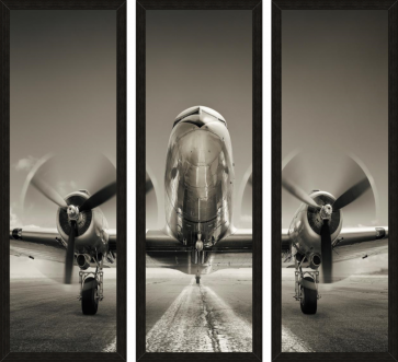 Adrian Smith - Airplane On A Runway