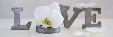Zen Orchid - Love