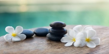 Omar Olavie - White Frangipani On Black Stones  