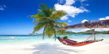 Anna McCormick - Hammock on Tropical Beach  