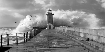 Helena Shulamite - Lighthouse 