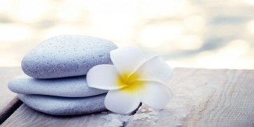 Omar Olavie - White Frangipani on Wood  