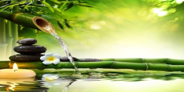 Omar Alavi - Bamboo Fountain  